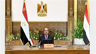 السيسي يوجه بالتوسع في إصدار المحررات عن بعد بالسفارات والقنصليات المصرية بالخارج