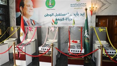 توزيع 300 جهاز كهربائي لـ100 عروسة بالمنوفية