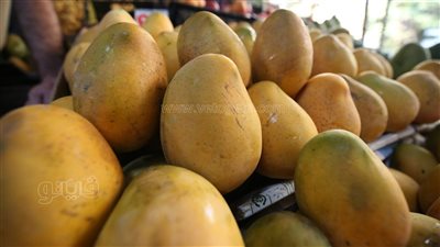 أسعار الفاكهة اليوم، المانجو ترتفع 7 جنيهات في سوق العبور