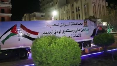 الوادي الجديد ترسل 100 طن مساعدات غذائية دعمًا للأشقاء في غزة