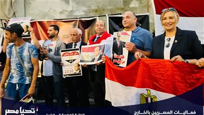 استمرار لقاءات المصريين بالخارج المؤيدة للمرشح السيسي (صور)