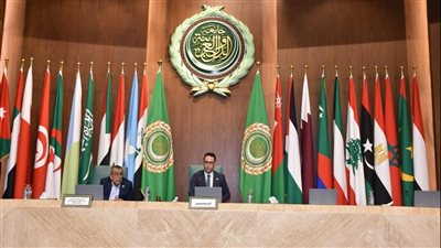 أبو الغيط يؤكد ضرورة مُلاحقة المسؤولين الإسرائيليين في المحاكم الدولية