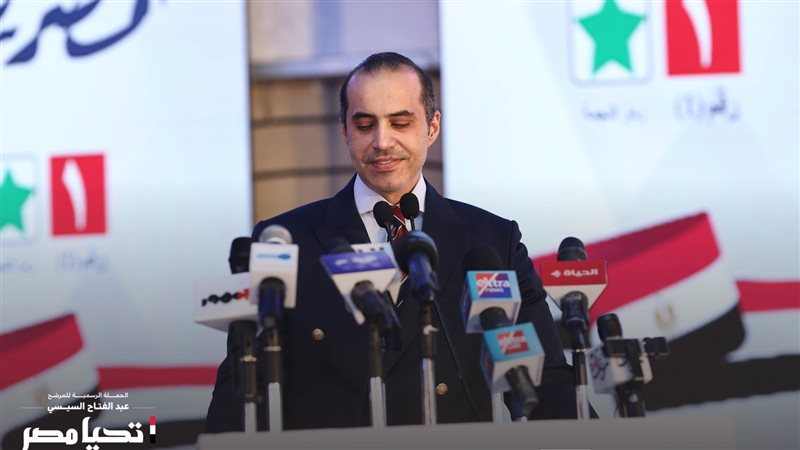 المستشار محمود فوزى،فيتو