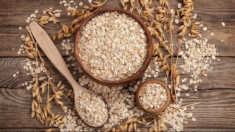 أسعار الشوفان اليوم،