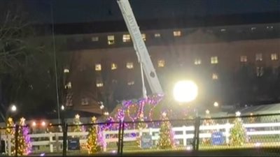 سخرية واسعة من سقوط شجرة الكريسماس بالبيت الأبيض: 