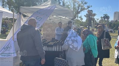 مخلل ومحشي ومشوي، أبرز منتجات مهرجان الزيتون (فيديو وصور) 