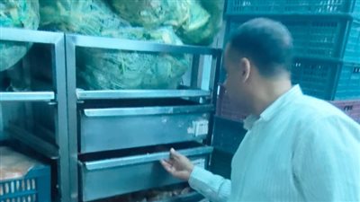 الجيزة: ضبط 5 أطنان لحوم مجهولة المصدر وغير صالحة للاستهلاك الآدمى