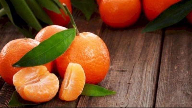 فوائد اليوسفي، فيتو