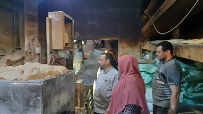 التحفظ على 7 أطنان أغذية وأعلاف وتحرير 233 محضرا في حملة تموينية بالدقهلية 