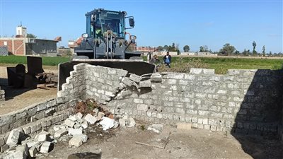 إزالة 36 حالة تعد على أراضي زراعية في الإسماعيلية (صور) 