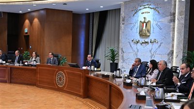 نشرة أخبار مصر، غرفة عمليات الوطنية للانتخابات تبدأ مباشرة أعمال تصويت المصريين في نيوزيلندا، وشبورة مائية ونشاط للرياح غدا