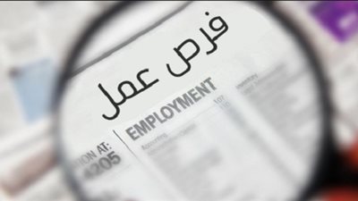 توفير فرص عمل جديدة للشباب بالجيزة 