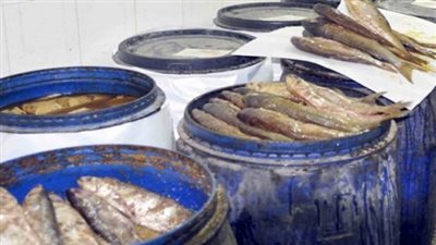 ضبط 15 طن فسيخ فاسد في حلوان