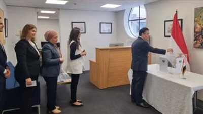 بيان من الخارجية بشأن تصويت المصريين في الخارج بانتخابات الرئاسة 2024 (صور)