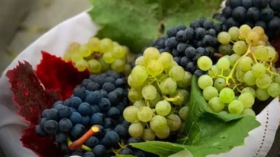 أزمة ارتفاع أسعار العنب بالأسواق.. 120 جنيها للكيلو.. وخبير زراعي: هبوط الأسعار بالنصف الثاني من الشهر الجاري.. والإنتاج المبكر سيؤدي إلى خسائر للمزارعين 