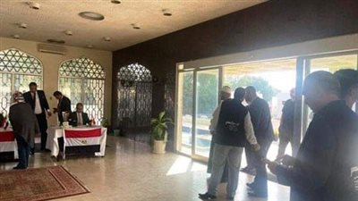 المصريون بالنمسا وتونس والعراق والصين يواصلون التصويت في انتخابات الرئاسة (فيديو)