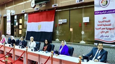 إقبال الجالية المصرية في الإمارات للتصويت في الانتخابات الرئاسية 2024 (صور)