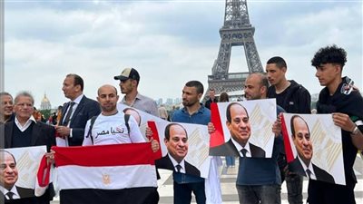 الجالية المصرية في فرنسا: توافد الناخبين يزداد بمرور الوقت رغم انخفاض درجات الحرارة