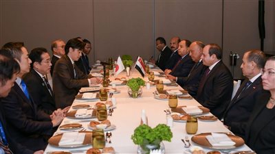 مصر واليابان ترفضان التهجير القسري للفلسطينيين