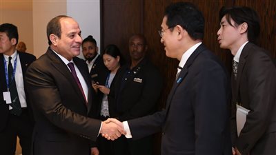  مصر واليابان ترفضان التهجير القسري للفلسطينيين وتتفقان على حماية المدنيين ( فيديو)