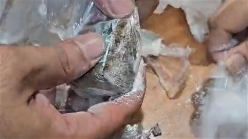 المضبوطات بحوزة جمارك