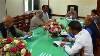 محافظ أسوان يكلف بمتابعة مشروع رفع كفاءة الوحدة الصحية بقرى كركر (صور)