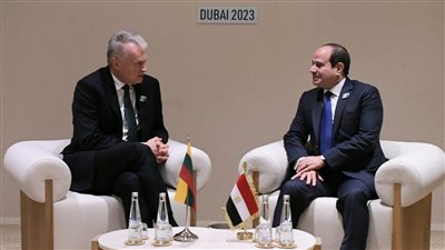 السيسي يلتقي رئيسي أرمينيا وليتوانيا (فيديو)