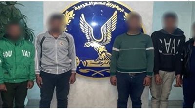 حبس 13 شخصا لارتكابهم جرائم السرقات والتنقيب عن الآثار بالقاهرة 