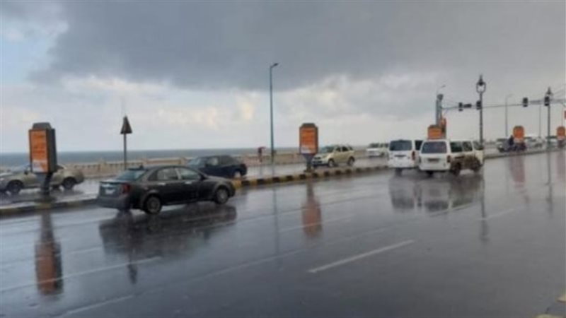 حالة الطقس غدا، فيتو