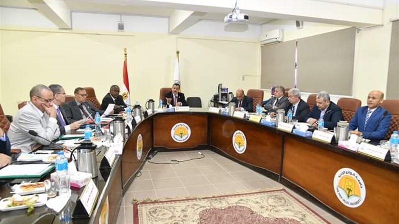مجلس جامعة الوادي