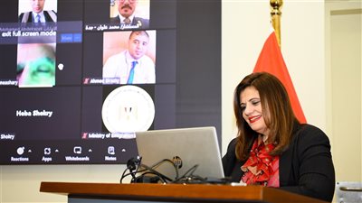 عمليات الهجرة تواصل متابعة تصويت المصريين بالخارج في الانتخابات الرئاسية