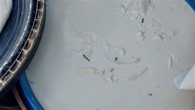 ضبط نصف طن ألبان ملوثة بالحشرات في البحيرة 