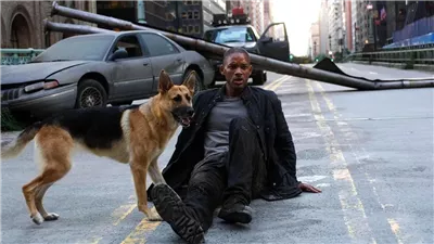 ويل سميث يكشف طريقة عودته من الموت في الجزء الثاني من فيلم I AM LEGEND 