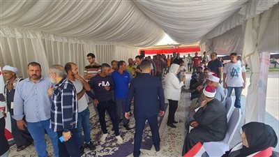 انتخابات النواب 2025، الوطنية للانتخابات: غلق 31 مقرا واستمرار العمل بـ 108 لجان انتخابية بالخارج 