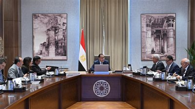 رئيس الوزراء يستعرض مشروعا لإنتاج الأمونيا الخضراء باستثمارات تقترب من مليار دولار