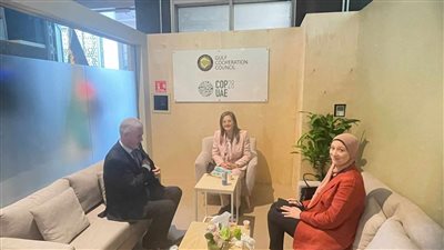 وزيرة التخطيط تبحث التعاون مع مدير المعهد العالمي للنمو الأخضر