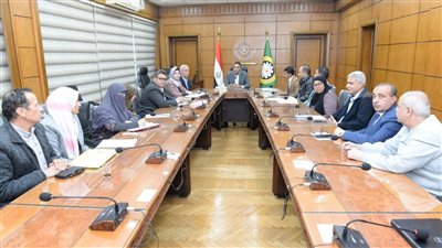 محافظ الدقهلية يستعرض الموقف التنفيذي لأعمال مشروعات المنطقة اللوجستية