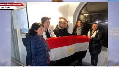 إقبال المصريين في أوروبا على التصويت في الانتخابات الرئاسية رغم برودة الطقس (فيديو)