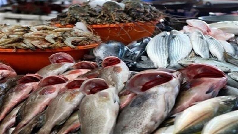 اسعار الاسماك،فيتو