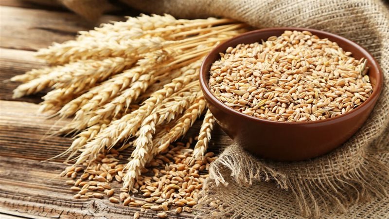 فوائد الشعير، فيتو