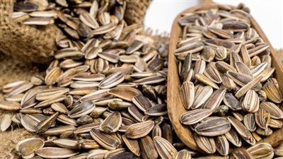 فوائد اللب السوري، يحمى من الجلطات والزهايمر ويحارب السرطان 