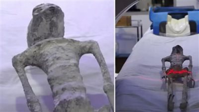 عمرها 1000 عام، لها 3 أصابع وبدون أسنان، كائنات المكسيك الغريبة تثير الجدل