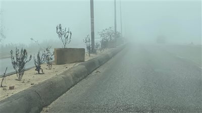 شبورة وضباب على الطرق السريعة بالدقهلية (صور)