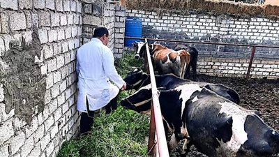 تقديم خدمات طبية وبيطرية بقافلة سكانية متكاملة بقرية كوم زمران بالبحيرة 