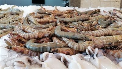 ملوث بإشعاع نووي، هيئة الغذاء والدواء الأمريكية تطالب بسحب جمبري مجمد من الأسواق فورا