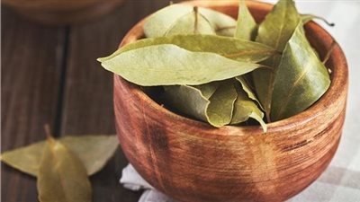 فوائد ورق اللورا للشعر، يغذى الشعر ويحد من تساقطه