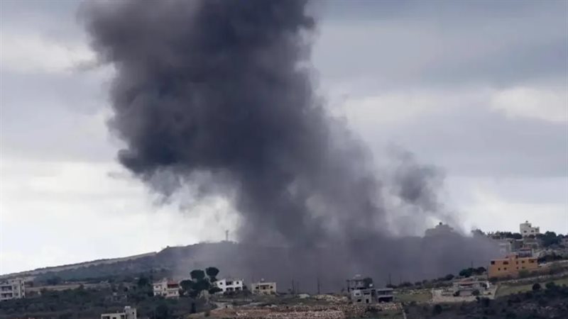جنوب لبنان، فيتو