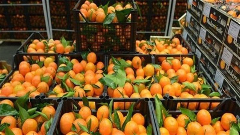 أسعار الفاكهة في