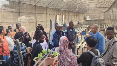 وفد أفريقي يزور المعمل المركزي للمناخ للاطلاع على تجارب الزراعة بدون تربة