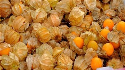 أسعار الفاكهة اليوم، كيلو الحرنكش بـ 25 جنيهًا في سوق العبور